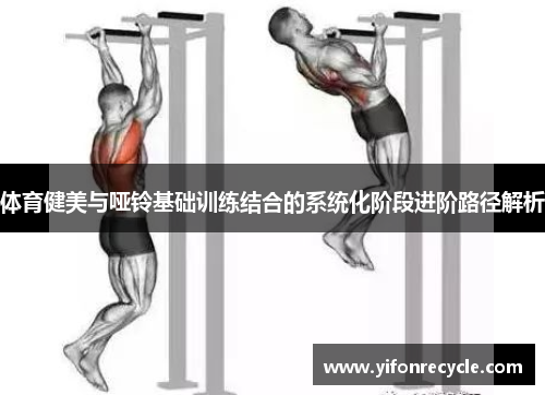 体育健美与哑铃基础训练结合的系统化阶段进阶路径解析